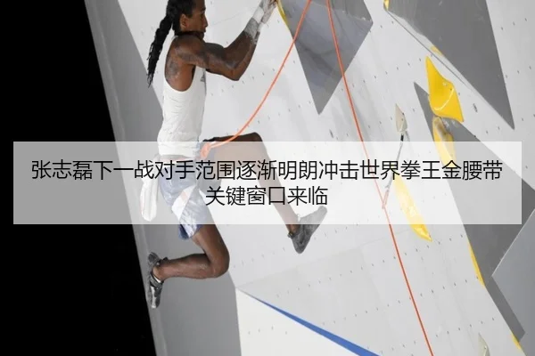 张志磊下一战对手范围逐渐明朗冲击世界拳王金腰带关键窗口来临